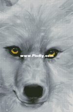 Sepia wolf by Ivolga XSD