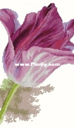 Alisa - Алиса 2-44 - Tulips Lilac Velvet PCS
