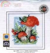 RTO H191 Boletus Mushrooms XSD