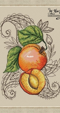 Lace apricot by Ksenia Glushkova (by Ksu/Ксю)