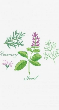 DMC - Herbs - Basil