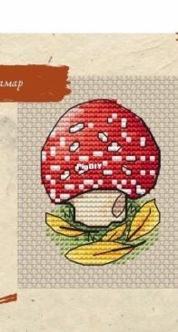 Fly Agaric by Zina Kramar
