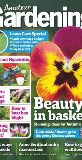 Amateur Gardening 9 September 2017