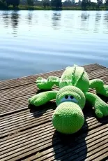 Oli Mori- Crocodile
