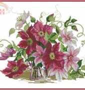 Riolis 100-040 Clematis XSD
