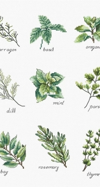 Luca-S B2345 Spices and Herbs