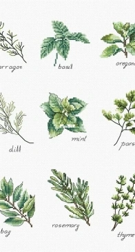 Luca-S B2345 Spices and Herbs