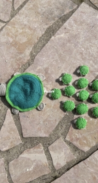 turtle memory