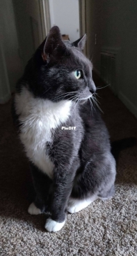 My handsome boy Mario