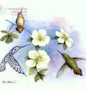The Stitching Studio by Sue Coleman CS343 Dogwood & Hummingbird XSD