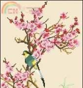 KCO 612217 Branch of Sakury and Birds