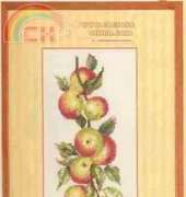 Lanarte 34308 Apples