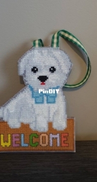 welcome maltezer dog