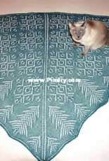 Crystal Forest Shawl by Karen Joan Raz