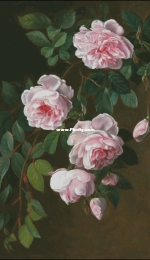 Golden Kite GK 2548 - Roses XSD