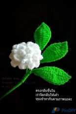 As You Wish - Jasmine Flower - Thai - Free