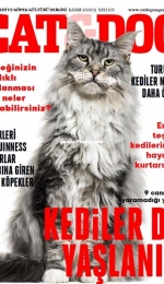 Cat and Dog - Kasım 2020/11 - Turkish