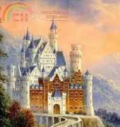 Amazing Castle