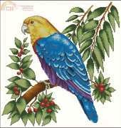 Artime Cuadros-N° 40 Blue Parrot