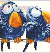 Alisena 1018 About birds-2