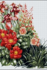 Bozenka 1001 - Flowers