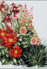 Bozenka 1001 - Flowers
