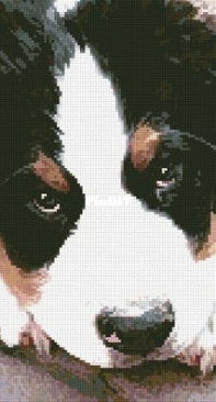 Artecy Cross Stitch - Bernese Mountain Puppy