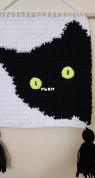 Peeking cat