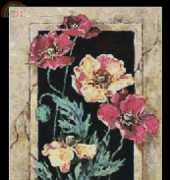 Instant Cross Stitch 8179 - Framed Poppies