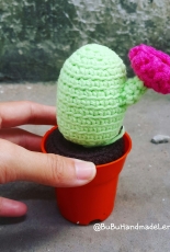 Amigurumi Cactus mini 2