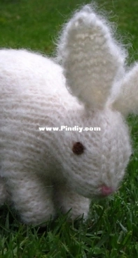 Bunny Rabbit by Linda Dawkins