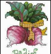 Vegetables Radish