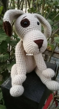 dog with spots