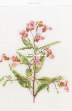 Busy Lizzie from Thea Gouverneur 3087 - Flower Portraits in Cross Stitch XSD