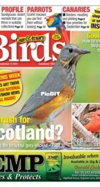 Cage and Aviary Birds - September 2025