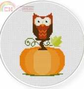 Daily Cross Stitch Pumpkin Owl