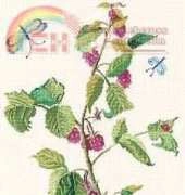 DMC XC0679 - Raspberries and Butterflies