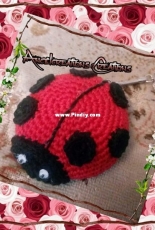 Ladybug