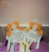 Little angels