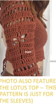 Spirit and Thread Crochet - Krista Jenkins - The Dragonfly Sleeves