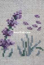 Sachet lavender 1