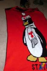 Youngstown State Afghan