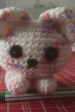 cute cat
