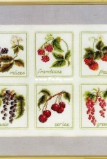 Thea Gouverneur TG 2091 Six Fruits XSD