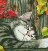 HAED IAG 1253 Sweet Chap by Irina Garmashova