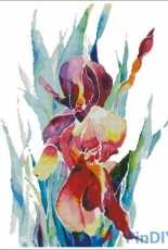 HAED HAEDJOL 114 Iris Bud by Jo Lynch