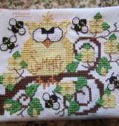 Summer Hoot