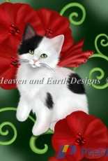 HAED HAEDMED 12347 Ruby Cat by Melissa Dawn