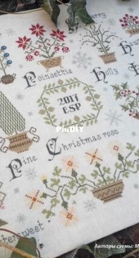 Cross stitch Primitives - Christmas Botanicals - XSD