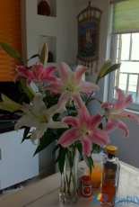 flower arranging